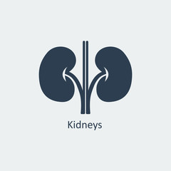 Kidneys Icon. Vector illustration - 216954962
