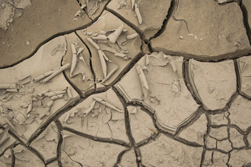 Dry Earth Background