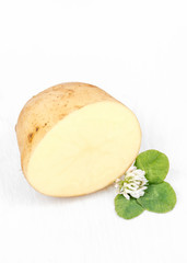 New harvest. Potatoe from own garden. Ecologically, healthy, delicious. Half of one/single brown/yellow potato decorated with clover flowers, leaves. Young potato isolated on white background. Closeup