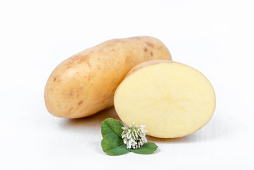 New harvest. Potatoes from the own garden. Ecologically, healthy, delicious. Stack of brown/ yellow potatoes decorated with clover flowers, leaves. Young potato isolated on white background. Closeup.