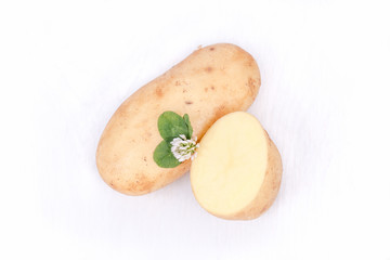 New harvest. Potatoes from the own garden. Ecologically, healthy, delicious. Stack of brown/ yellow potatoes decorated with clover flowers, leaves. Young potato isolated on white background. Closeup.