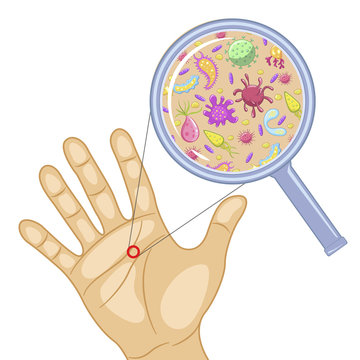 Germs on the hand vector cartoon illustration