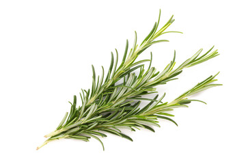 Rosemary spice on the white background.