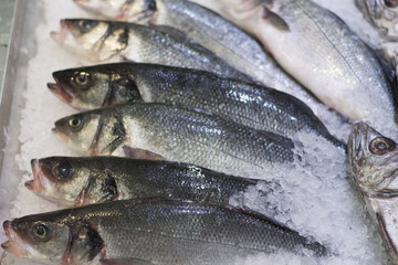 A lot of frozen fish in the ice in the store.