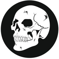 Skull Icon 