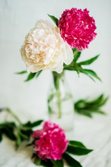 Flower background: white and pink Terry peonies in a glass vase