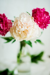 Flower background: white and pink Terry peonies in a glass vase