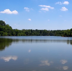 The reflections of the trees and the clouds off the lake. 