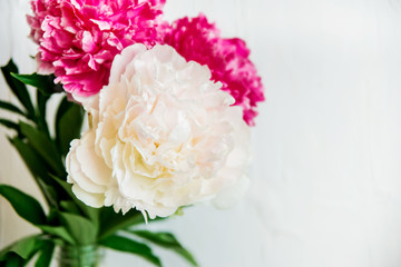 Flower background: white and pink Terry peonies in a glass vase