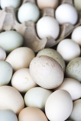 Fresh natural raw organic egg