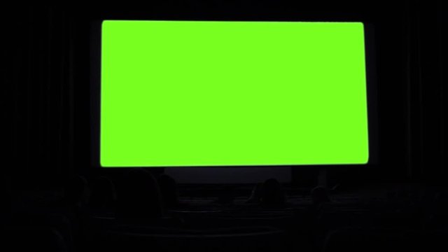 Cinema Green Screen. You can replace green screen with the footage or picture you want with “Keying” effect in AE  (check out tutorials on YouTube).