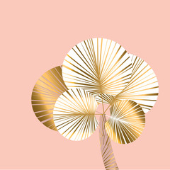 Decorative pastel rosy and gold color tropical palm