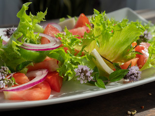 vegetable salad on a white plate, dark background, copy space