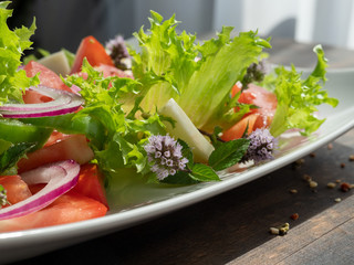 vegetable salad on a white plate, dark background, copy space