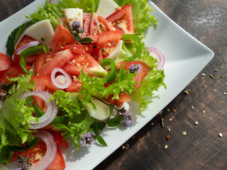 vegetable salad on a white plate, dark background, copy space