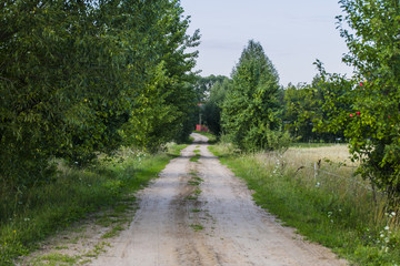 Fototapeta na wymiar sandy road leading to the village