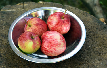 Apples in a silver bowl