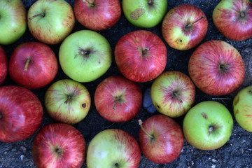 Apples on a ground