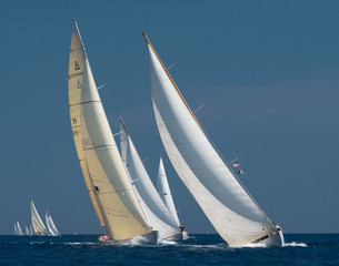 French Riviera - old sail race in Cannes - obrazy, fototapety, plakaty