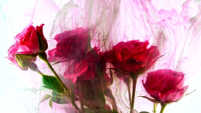 Amazing spreading of paint on a beautiful flowers