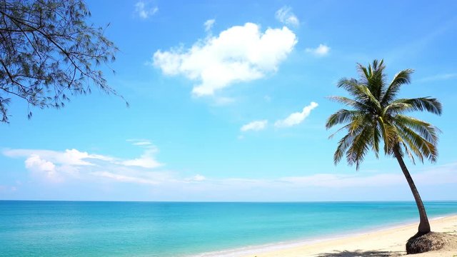 Sandy tropical beach with coconut palm tree, beautiful beach of andaman sea scenery background in phuket thailand