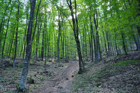 Path to mount Boyka