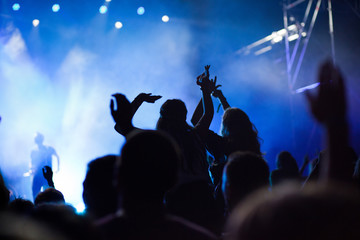 cheering crowd with raised hands at concert - music festival