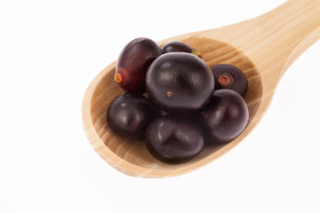 Acai amazonian fruit (Euterpe oleracea)