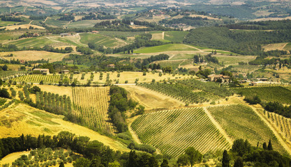 Fototapeta na wymiar Toscana landscape