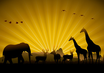 Wild animals silhouette