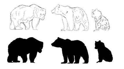 Wild animals silhouette, bear