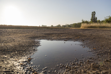 Pf&uuml;tze geeignet f&uuml;r Collagen Spiegelung