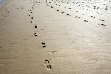 Footprints and trails on sandy beach at low tide on summer evening - 1