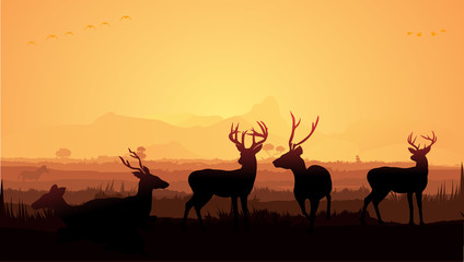 Fototapeta na wymiar Wild animals silhouette, deer