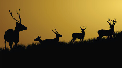 Wild animals silhouette, deer