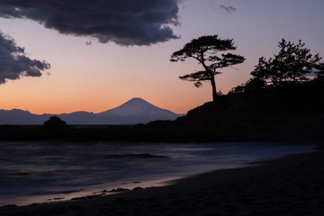 Fototapeta na wymiar 立石公園からの富士山と松の木