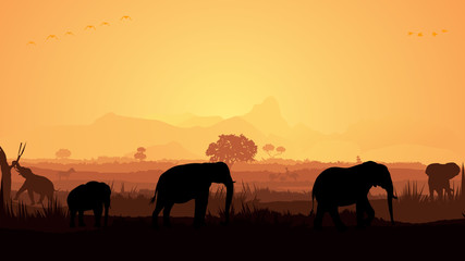 Fototapeta na wymiar Wild animals silhouette
