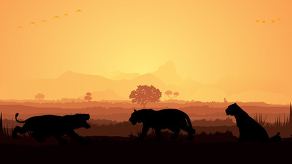 Fototapeta na wymiar Wild animals silhouette, Tiger family