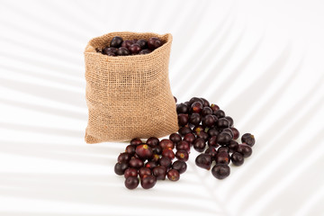 Acai amazonian fruit (Euterpe oleracea)