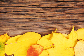 Colorful leaves on wooden background. Thanksgiving, autumn.