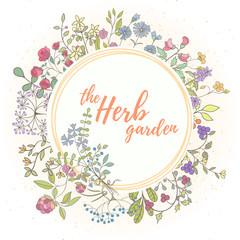 Herb hand drawn card