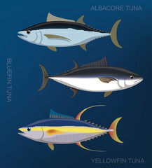 Saltwater Fish Tuna Set Cartoon Vector Illustration