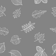 autumn leaves seamless background, white leaves against the background of the autumn sky, line art