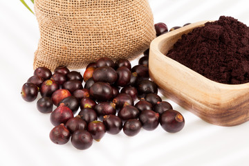 Fruit and acai powder - Euterpe oleracea