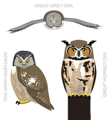 Fototapeta premium Ptak Sowa amerykańska zestaw ilustracji wektorowych kreskówki