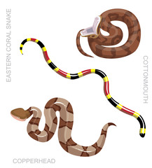 Snake North American Venomous Set Cartoon Vector Illustration