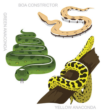 Snake Anaconda Set Cartoon Vector Illustration