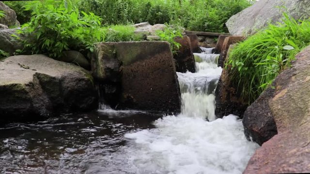 Water flowing threw herring run