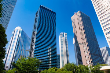 Fototapeta premium 西新宿 高層ビル群