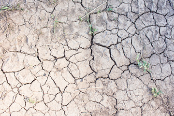 This summer is too hot and dry / Zoomed shot of cracked earth in dry summer as a texture